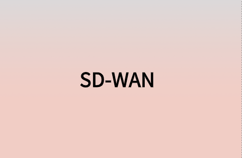 對企業而言，SD-WAN意味著什么?