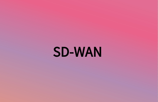 除連接性外，SD-WAN還提供很多網絡優勢